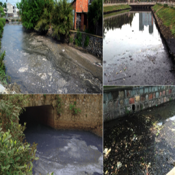 河道黑臭污水生态修复设计与施工(前)
Design & construction for black and odorous river water ecological restoration 河道黑臭污水生态修复设计与施工(前)
Design & construction for black and odorous river water ecological restoration